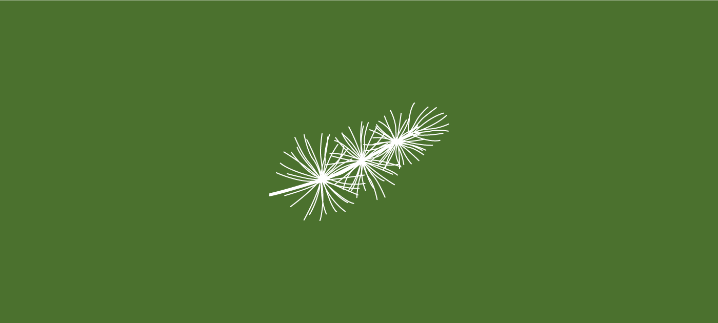 Noisli - Cedar