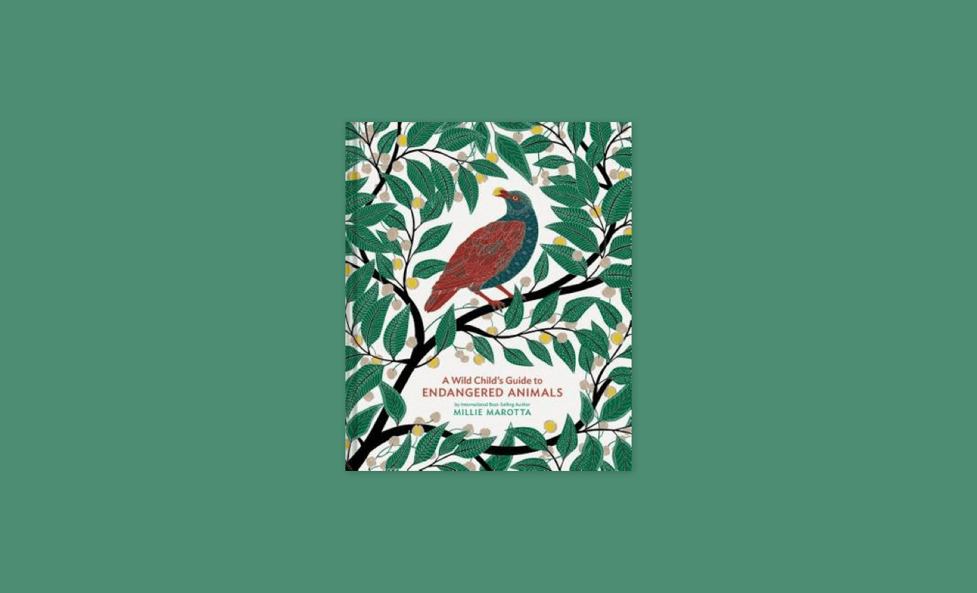 Noisli - A Wild Child's Guide to Endangered Animals