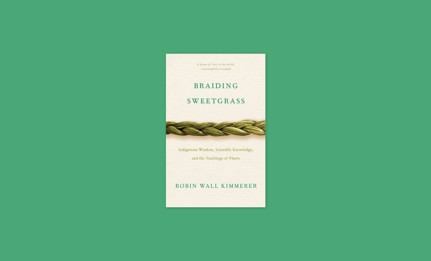 Noisli - Braiding Sweetgrass