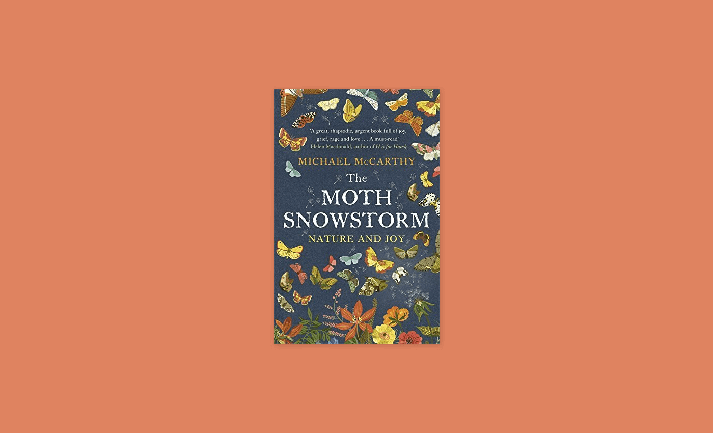 Noisli - The Moth Snowstorm
