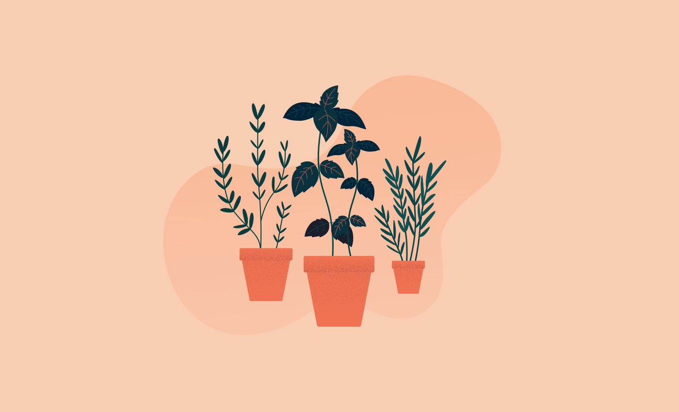 Noisli - Home gardening for improved wellbeing